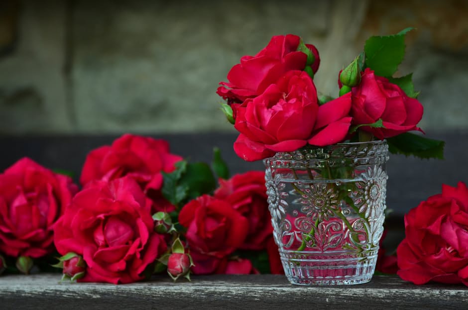 Red roses in a glass